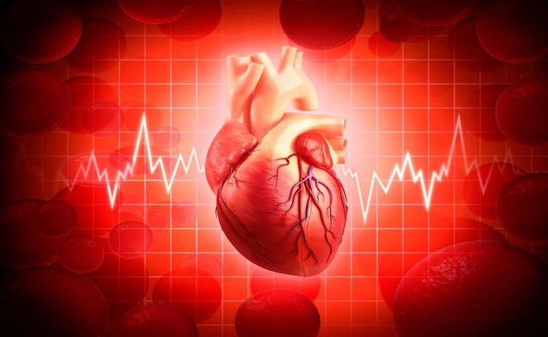 Cardiovascular Disease Causes & Treatment