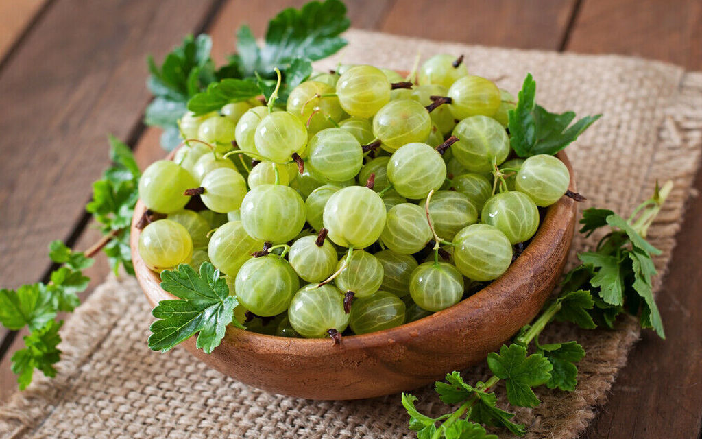 Gooseberry