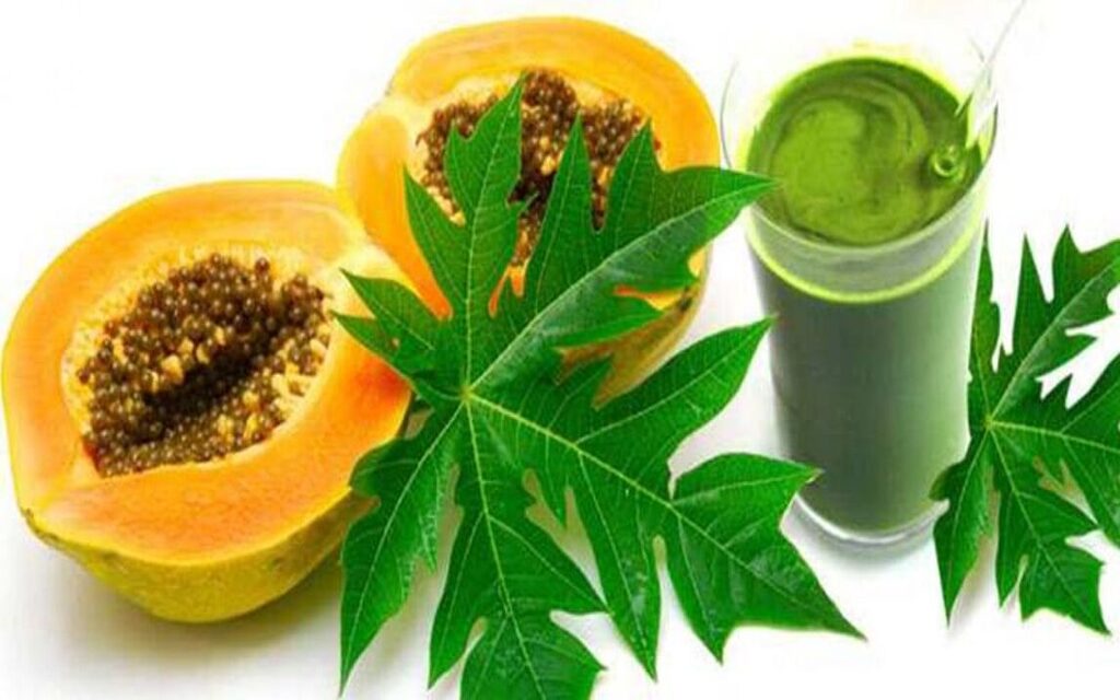 Papaya Leaf Juice