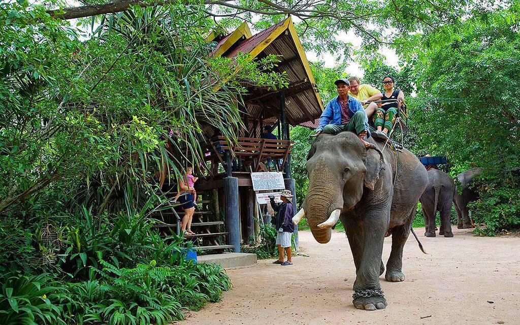 The Elephant Village