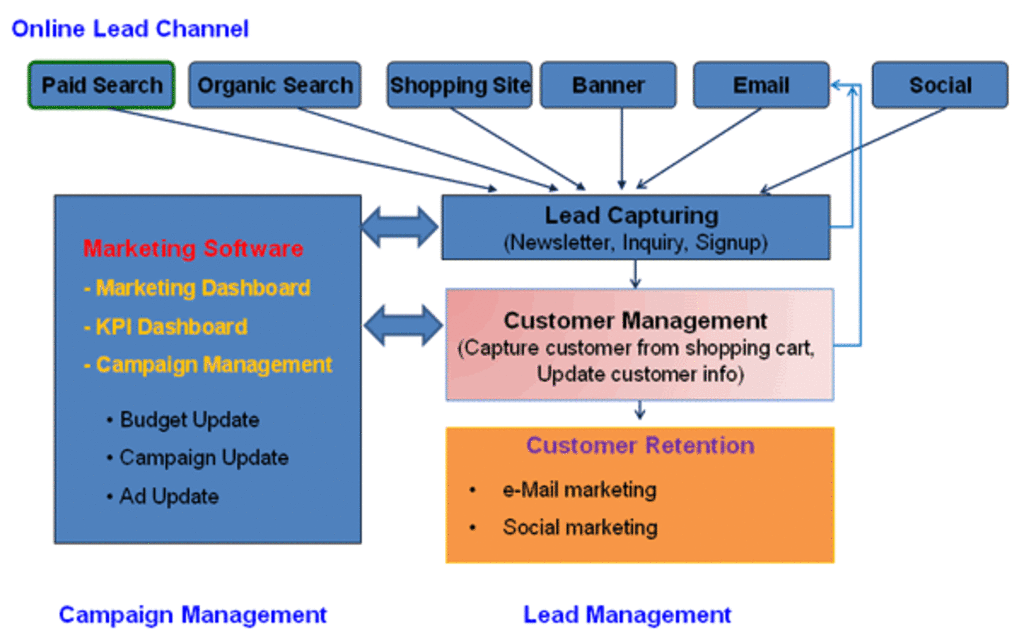 How B2C Marketing Strategies are helpful 