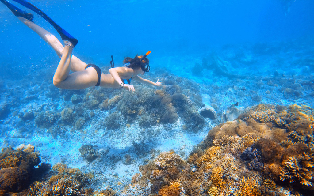 Snorkelling