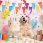 How to Celebrate Your Dog's Birthday
