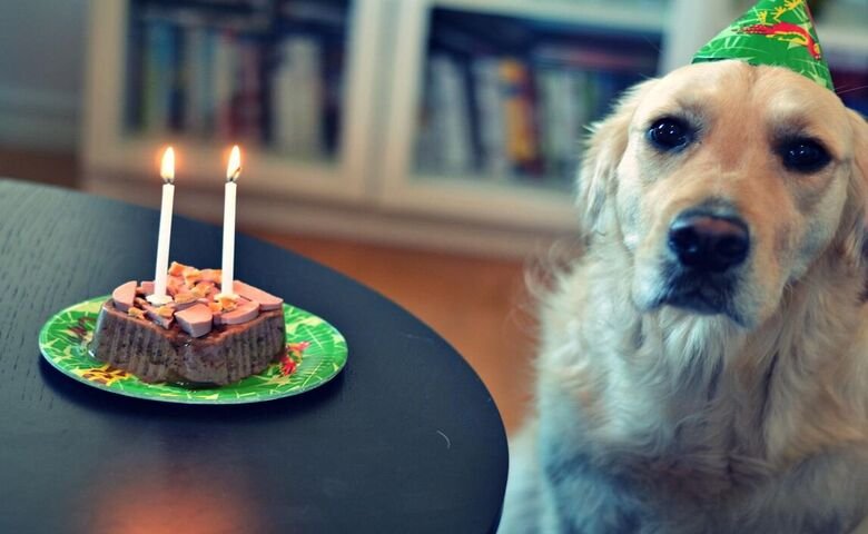 Most Exciting Ways to Celebrate Your Dog’s Birthday
