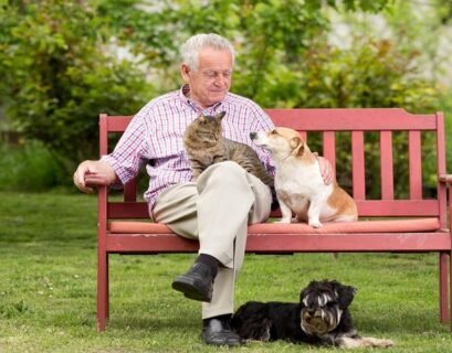 Benefits of Elderly Having Pets