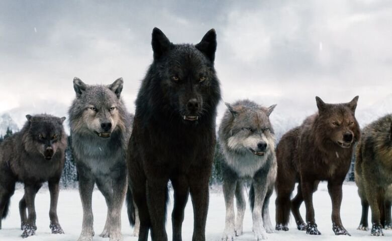 Super Pack of 400 Wolves that Terrorized the World