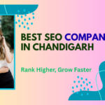 Best SEO Companies in Chandigarh
