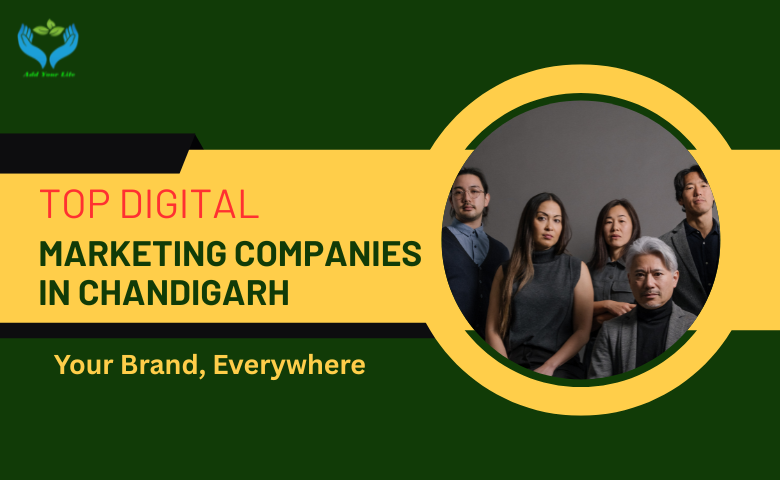 Top Digital Marketing Companies in Chandigarh