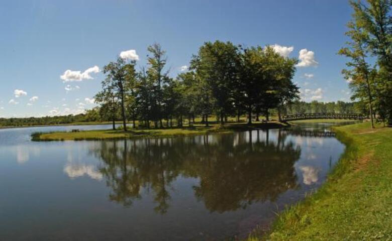Darien Lake Campground