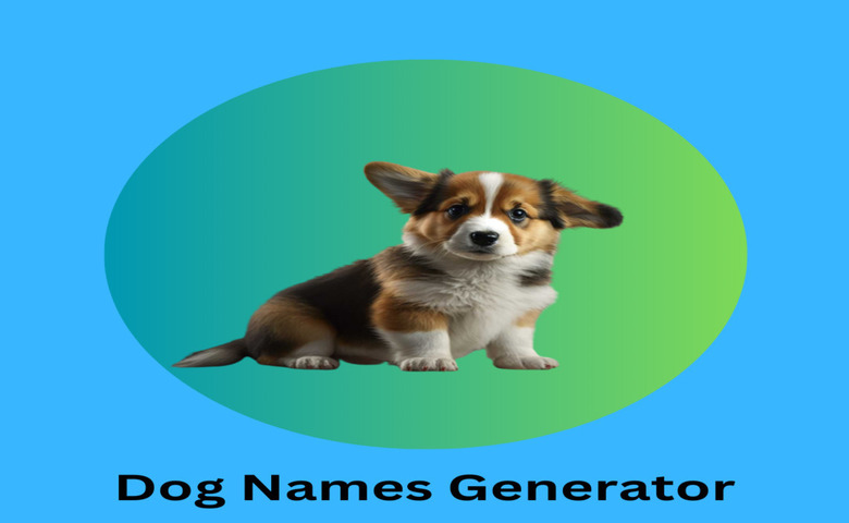 Registered Dog Names Generator