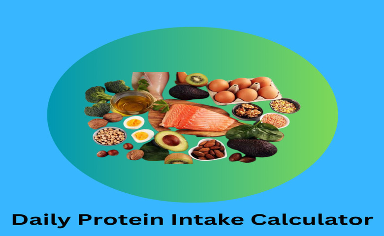 Daily Protein Intake Calculator
