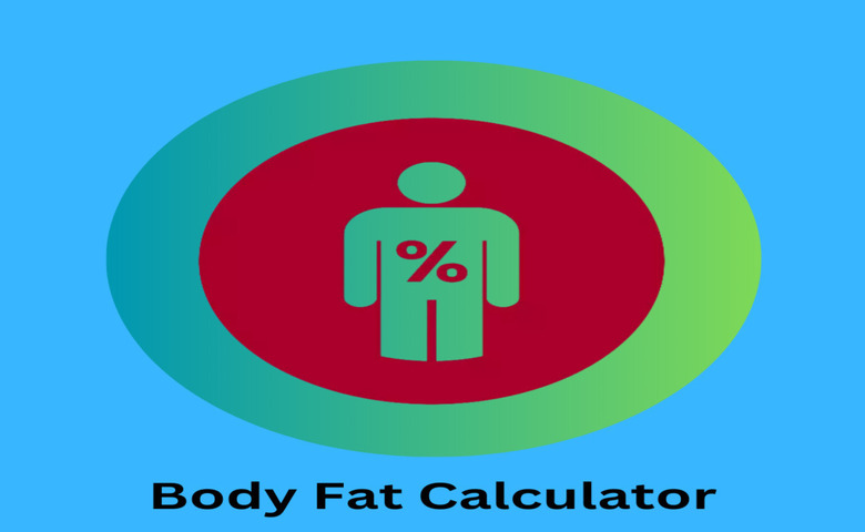 Body Fat Calculator Online