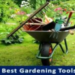 Best Gardening Tools for Seniors