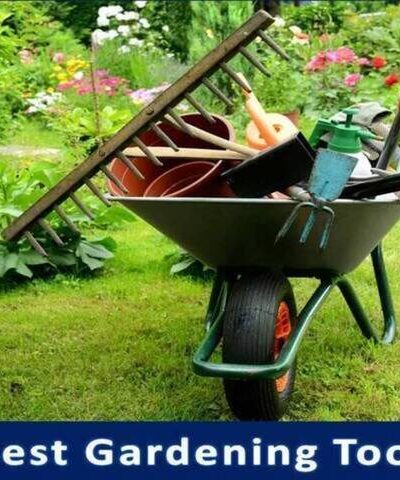 Best Gardening Tools for Seniors