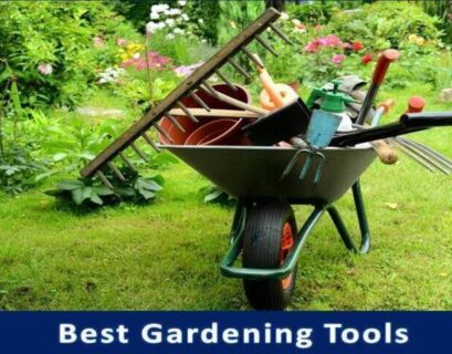 Best Gardening Tools for Seniors