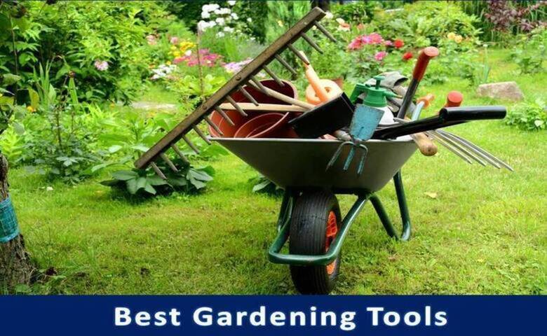 Best Gardening Tools for Seniors