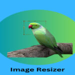 Image Resizer Online