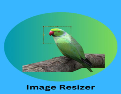 Image Resizer Online