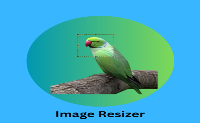 Image Resizer Online