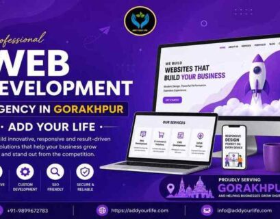 Professional Web Development Agency in Gorakhpur